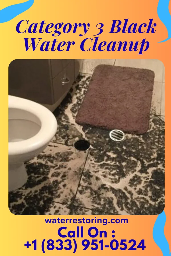 Category 3 Black Water Cleanup in Rock Hill, MO