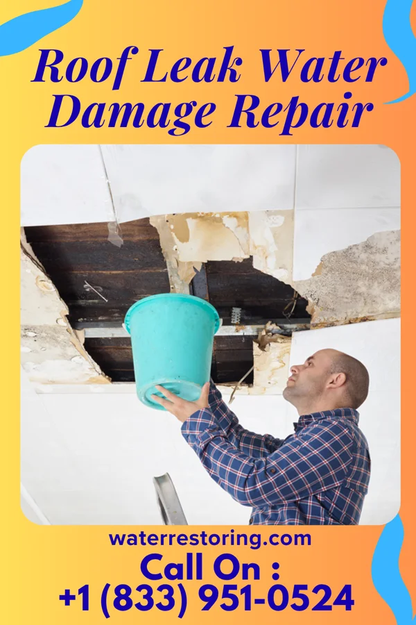 Roof Leak Water Damage Repair in Rock Hill, MO